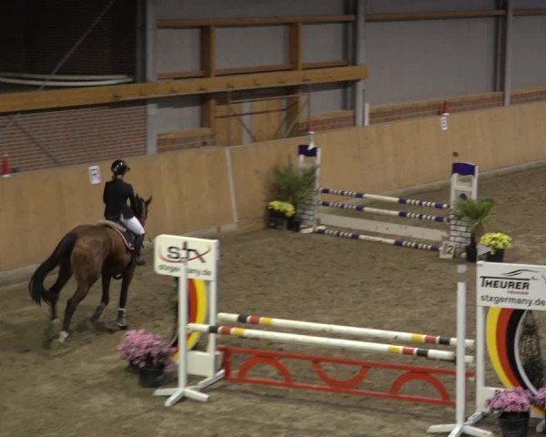 Reitturnier Osterholz 2022