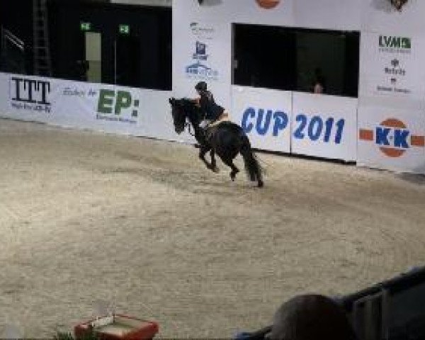 jumper Dalana 7 (Rhinelander, 2000, from Domburg)