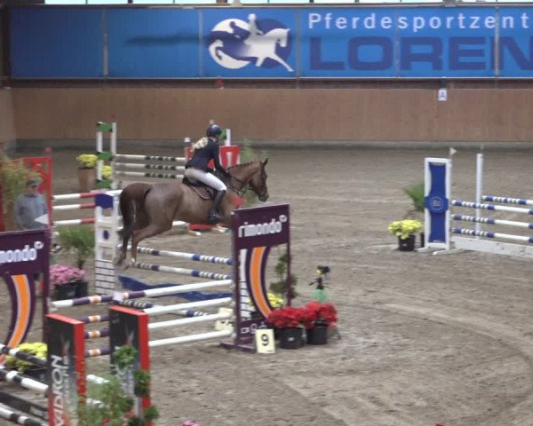 Reitturnier Osterholz 2022