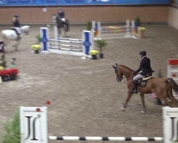 Reitturnier Osterholz 2022