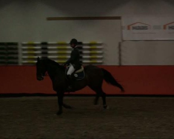 jumper Quanto 11 (Bavarian, 2002, from Quartier Latin) jumper Quanto 11 (Bavarian, 2002, from Quartier Latin)
