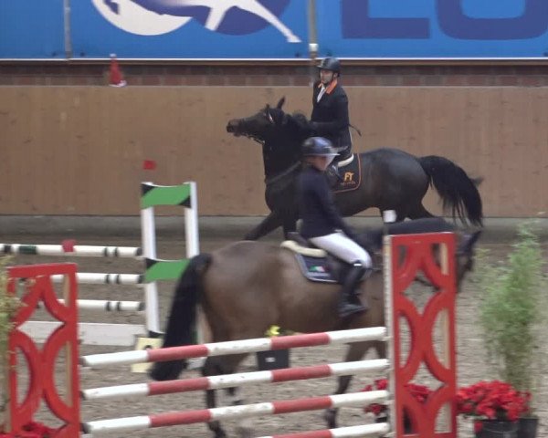 Reitturnier Osterholz 2022