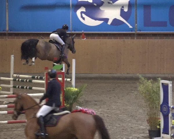Reitturnier Osterholz 2022