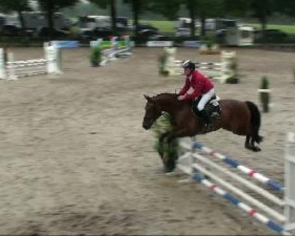 jumper Lukian 4 (Rhinelander, 2005, from Lord Lancer)