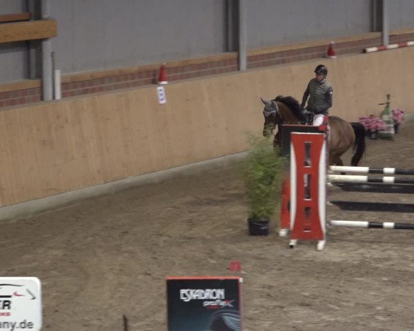 Reitturnier Osterholz 2022