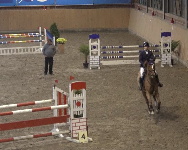 Reitturnier Osterholz 2022