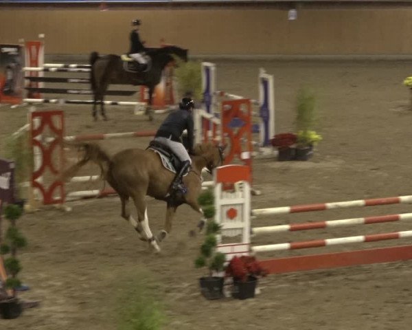 Reitturnier Osterholz 2022