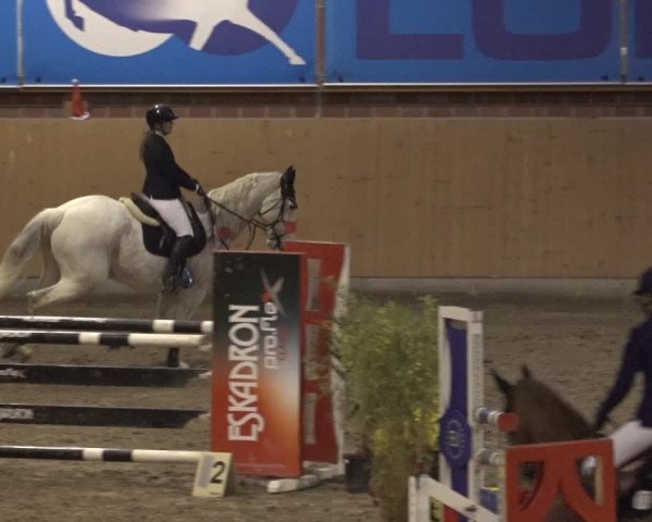 Reitturnier Osterholz 2022