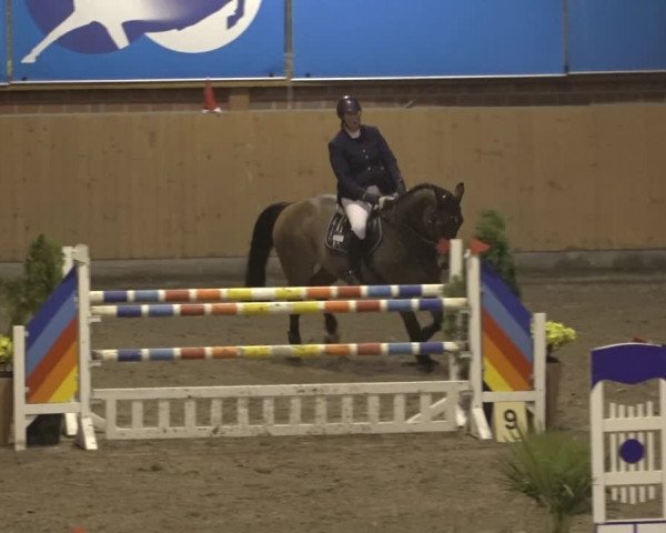 Reitturnier Osterholz 2022