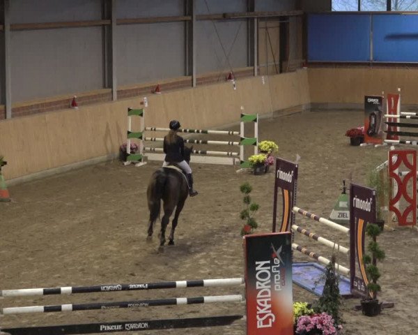 Reitturnier Osterholz 2022