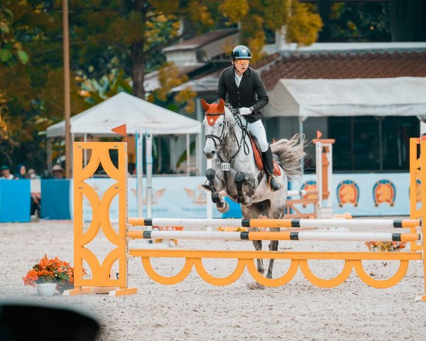 Pferd Kyralineke (KWPN (Niederländisches Warmblut), 2015, von El Clarimo)