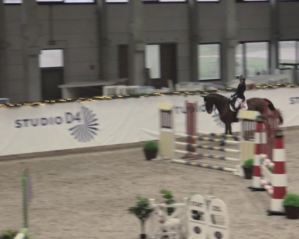 Reitturnier Prussendorf 2022