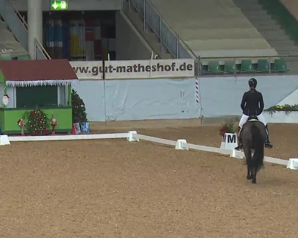 Reitturnier Kreuth/Opf. 2022