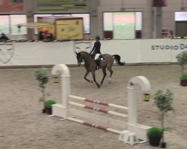 Reitturnier Prussendorf 2022