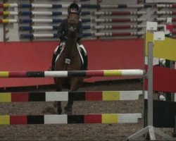 jumper Chikka 2 (Westphalian, 2003, from Caretello B)