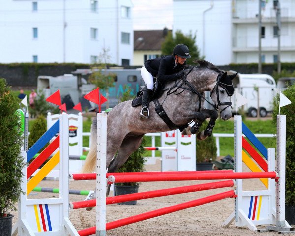 jumper Calisto PS (Mecklenburg, 2016, from Caligula)