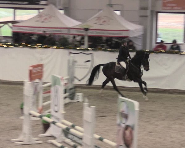 Reitturnier Prussendorf 2022