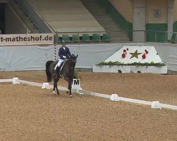 Reitturnier Kreuth/Opf. 2022