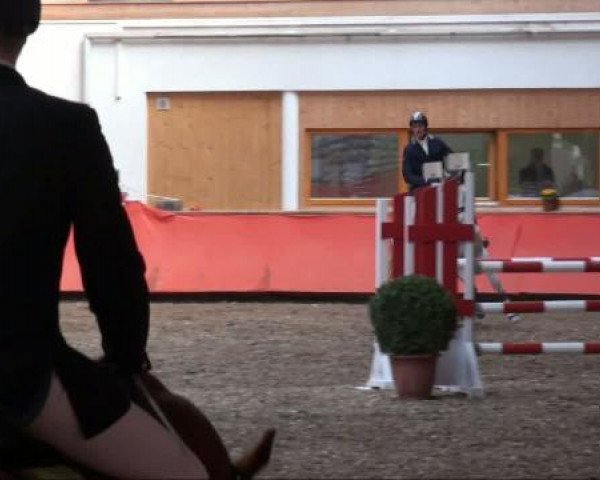 dressage horse Rangoon 14 (Hanoverian, 2003, from Rotspon)