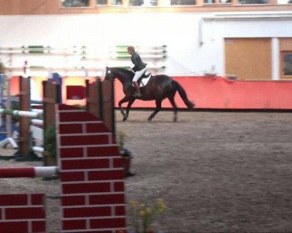 jumper Perinja (Bavarian, 2001, from Alvarez)