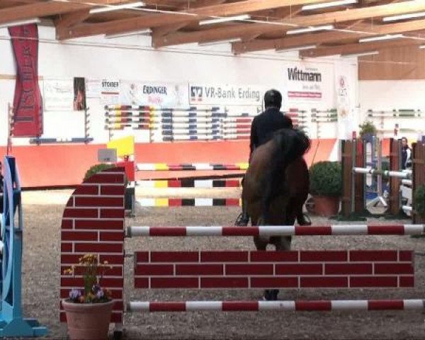 jumper Quincy 123 (Bavarian, 2004, from Quidam's Rubin)