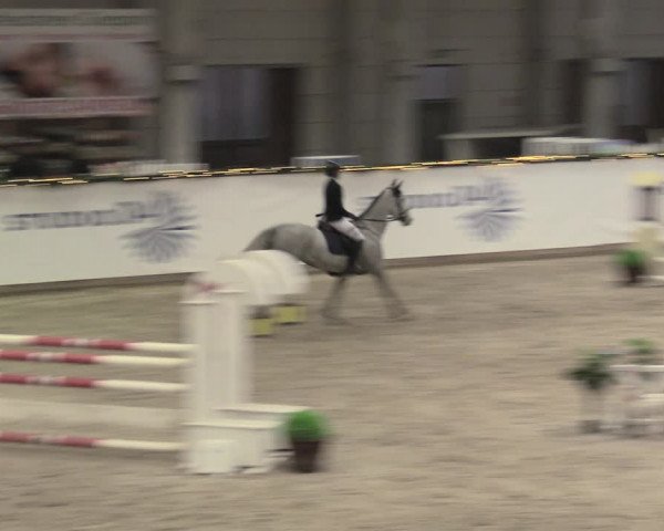 Reitturnier Prussendorf 2022