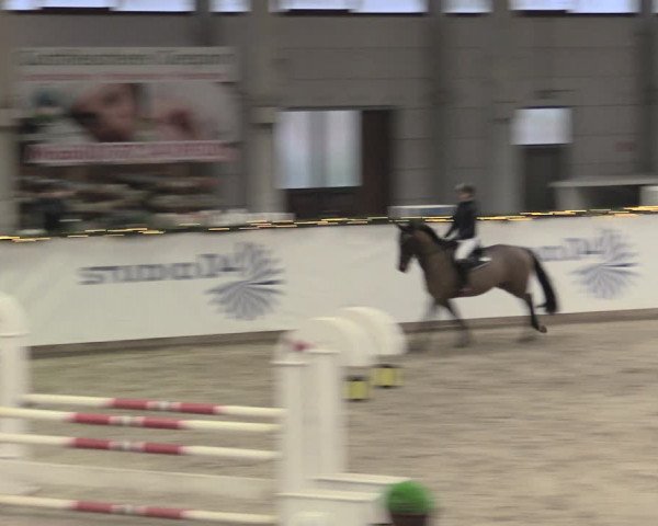 Reitturnier Prussendorf 2022