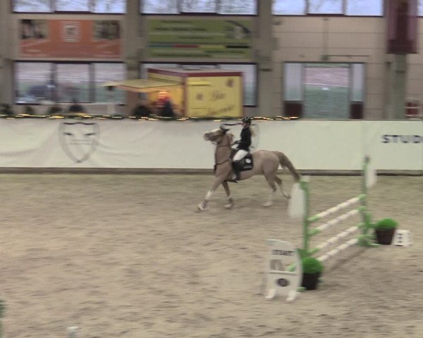 Reitturnier Prussendorf 2022