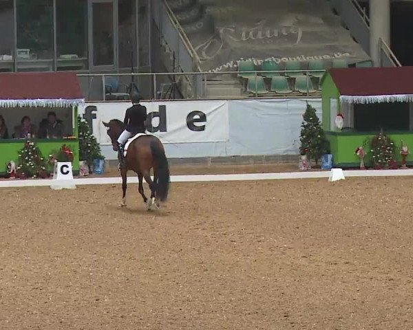 Reitturnier Kreuth/Opf. 2022