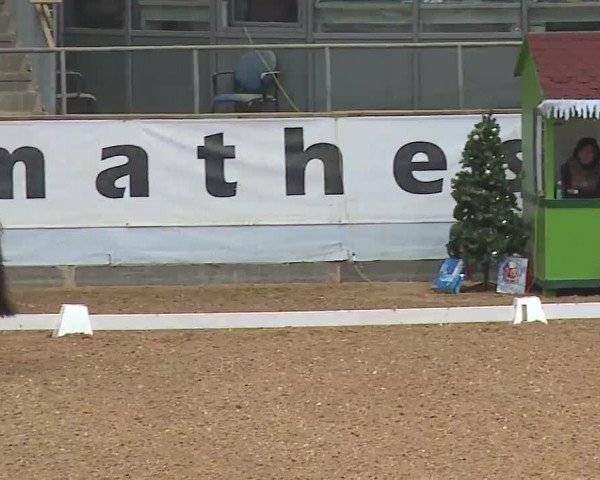 Reitturnier Kreuth/Opf. 2022