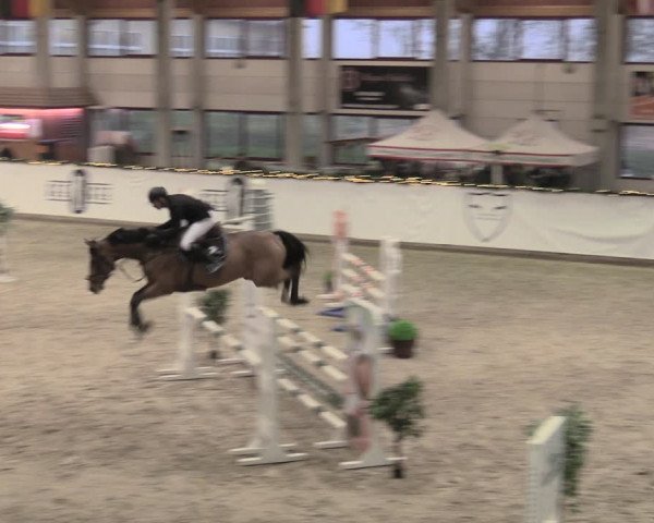 Reitturnier Prussendorf 2022