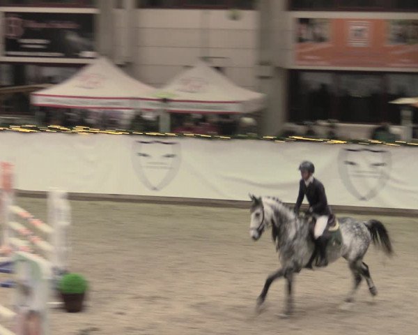 Reitturnier Prussendorf 2022