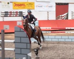 jumper Unlimited 7 (KWPN (Royal Dutch Sporthorse), 2001, from Nassau)