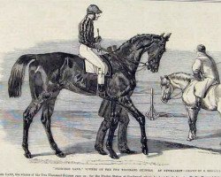 Deckhengst The Promised Land xx (Englisches Vollblut, 1856, von Jericho xx)