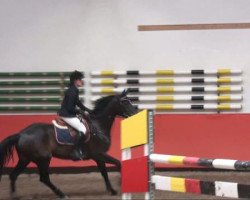 jumper Jolanda 29 (Oldenburg, 2002, from Forrester)