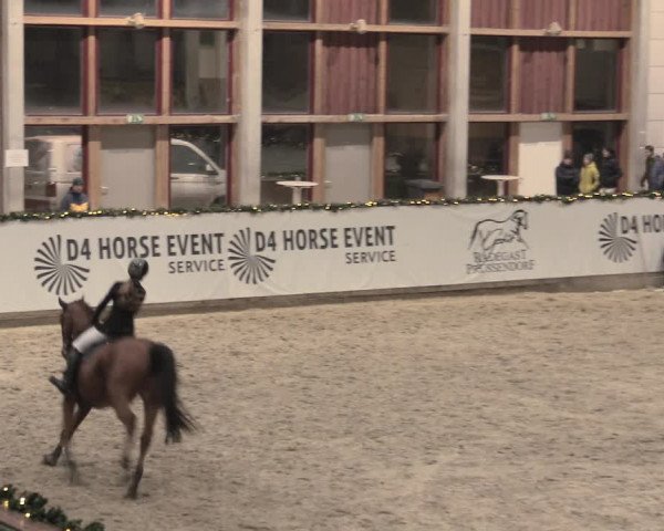 Reitturnier Prussendorf 2022