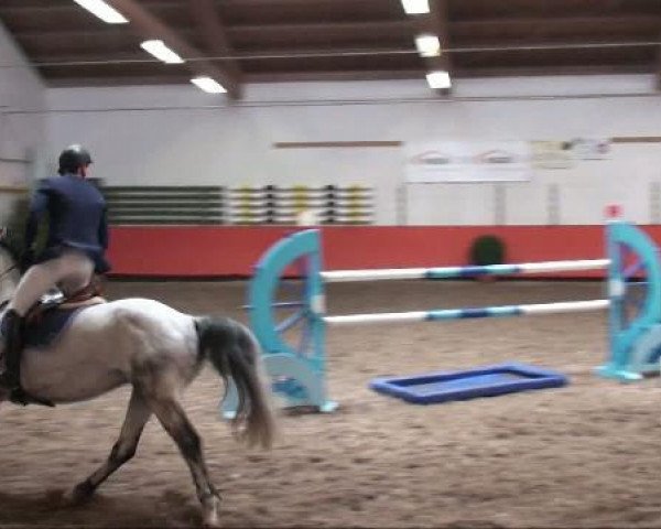 broodmare Grand Dame GB (Oldenburg, 2002, from Levantos I)