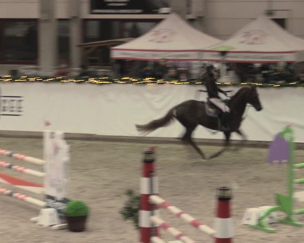 Reitturnier Prussendorf 2022