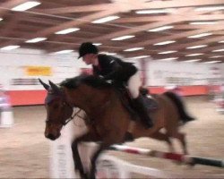 jumper Chester 211 (Bavarian, 2001, from Caretello B)