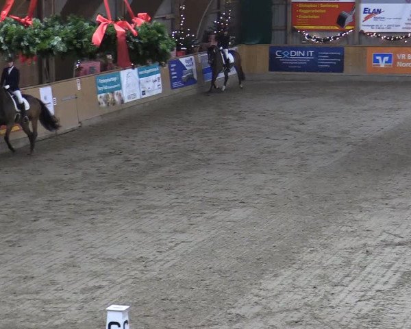 Reitturnier Leck 2022