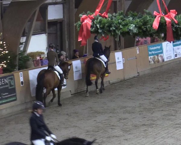 Reitturnier Leck 2022