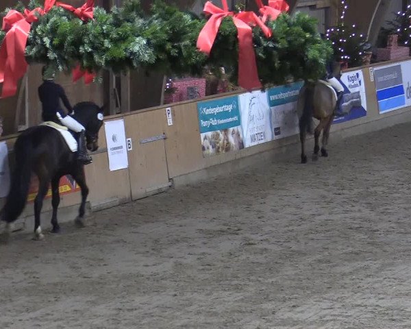 Reitturnier Leck 2022