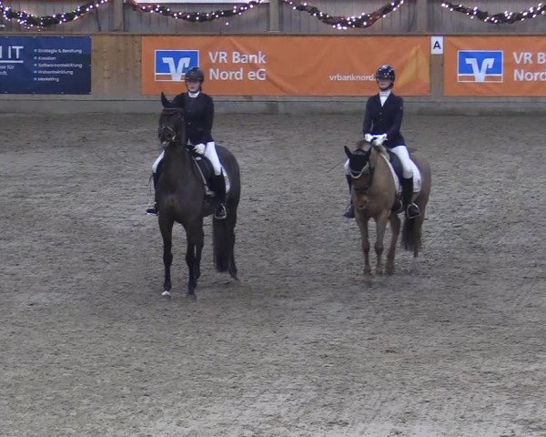 Reitturnier Leck 2022
