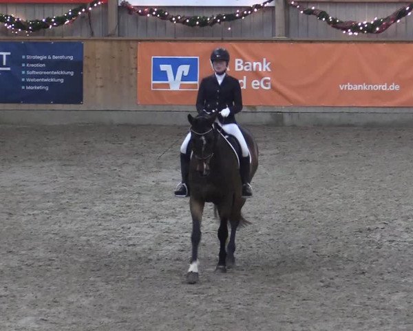 Reitturnier Leck 2022