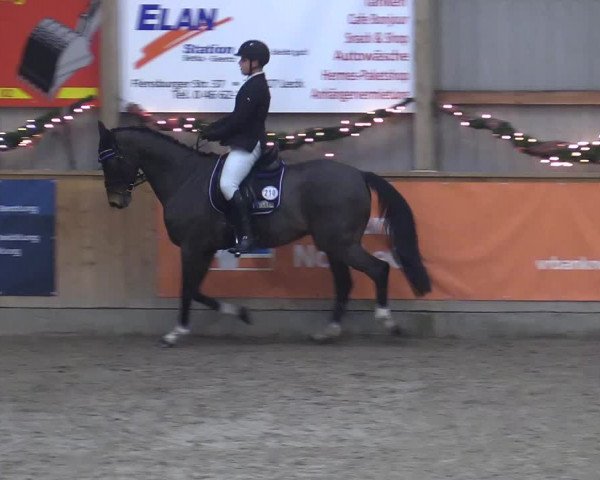 Reitturnier Leck 2022
