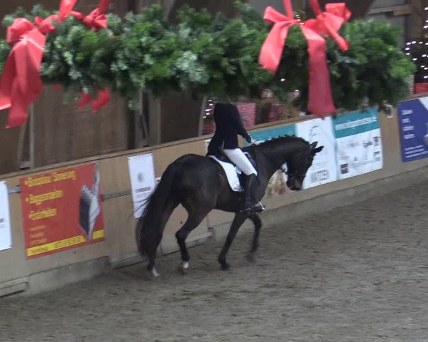 Reitturnier Leck 2022