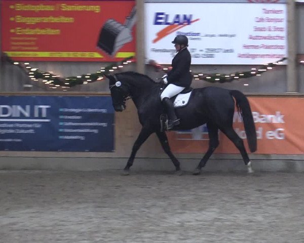 Reitturnier Leck 2022
