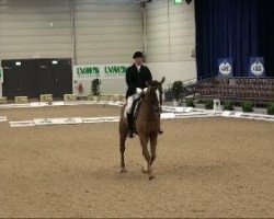 dressage horse Fagur 6 (Westphalian, 2002, from Fleurop)
