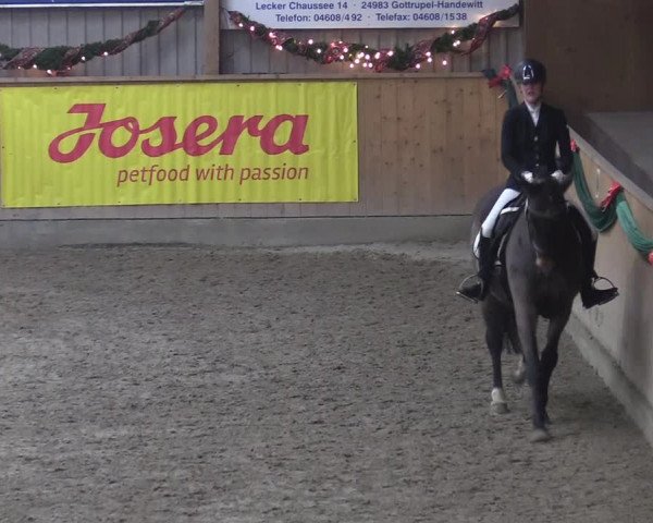 Reitturnier Leck 2022