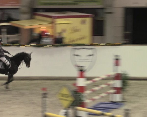 Reitturnier Prussendorf 2022